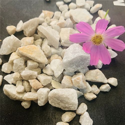 多年來(lái)與科研單位合作,不斷產(chǎn)品結(jié)構(gòu),為拓展市場(chǎng),由原來(lái)單 一的濾料銷(xiāo)
